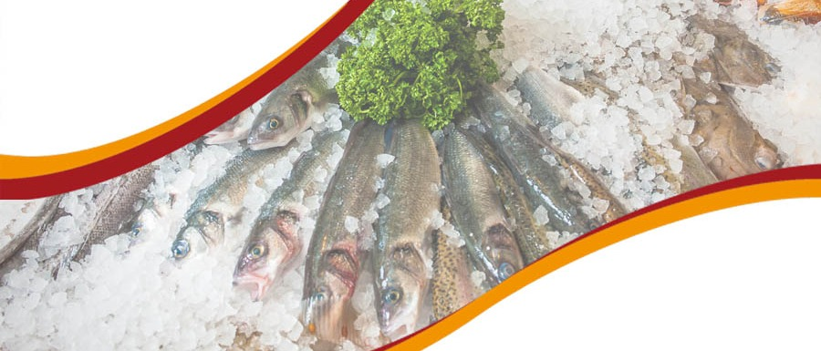Formazione per addetti alla produzione e vendita di sostanze alimentari e bevande - prodotti ittici