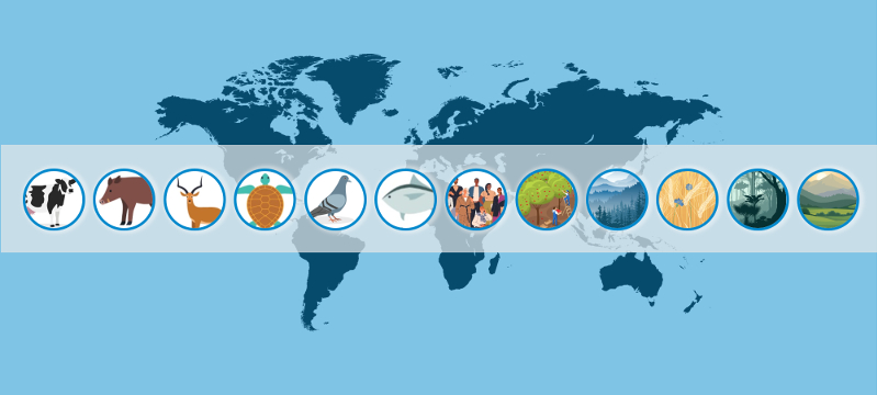 Percorso base destinato al personale delle autorità competenti di cui all’articolo 2, comma 1 del Decreto Legislativo 27/2021 (ed.2026)