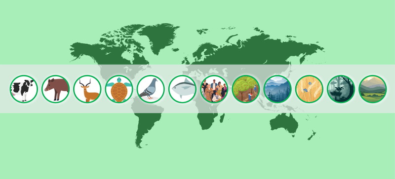 Audit degli operatori della filiera agroalimentare - Regolamento (UE) 2017/625 (ed 26)