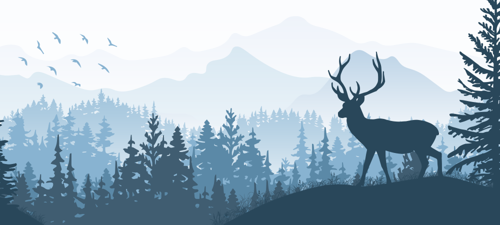 PERSONA FORMATA in materia di patologie della selvaggina, produzione e trattamento della selvaggina e delle relative carni  (2ed - 3ed 2026)